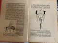 Пчеловъдство и болести по пчелите 1938 г. Александър Тошково пчелите 1938 г. Александър Тошков, снимка 3
