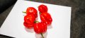 Семена от люти чушки Червено Хабанеро, снимка 1 - Сортови семена и луковици - 42909401