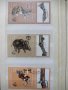 Колекция български пощенски марки Световно ловно изложение 1981 г., снимка 1 - Филателия - 40755390