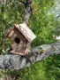 Къща за птички, снимка 3