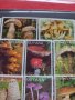 Пощенски марки чиста комплектна серия Гъби стари редки за колекция декорация - 22047, снимка 6