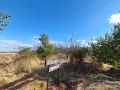 Парцел първенец, снимка 8