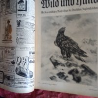   Wid and hund немско ловджийско списание 1930 - 1937 г, снимка 17 - Антикварни и старинни предмети - 37319252