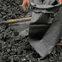 Въглища 💥Бобовдолски Руски Домбаски на изгодна цена