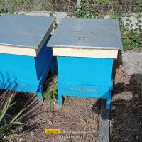 Пчеларски инвентар, снимка 4 - За пчели - 37699644