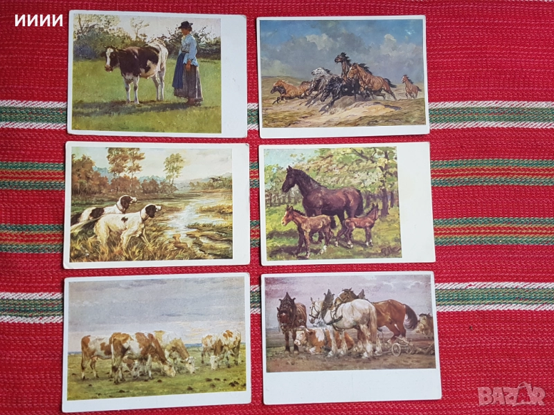 Картичка животни, снимка 1