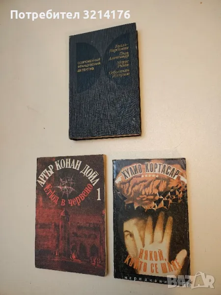 Някой, който се шляе - Хулио Кортасар, снимка 1