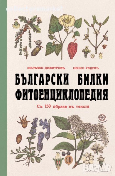 Български билки. Фитоенциклопедия, снимка 1