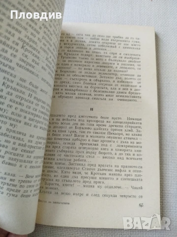 Йордан Стоев, Пясък за папагалите, снимка 2 - Художествена литература - 50771802
