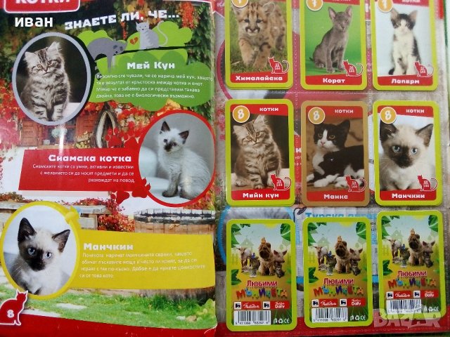 Албум с карти "Любими мъничета" Пикадили, снимка 11 - Колекции - 38709028