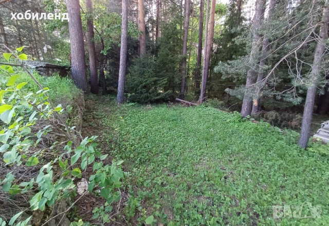 В продажба атрактивен парцел на хижа Здравец, снимка 5 - Парцели - 54061924