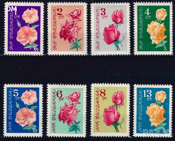 България 1962 - рози MNH
