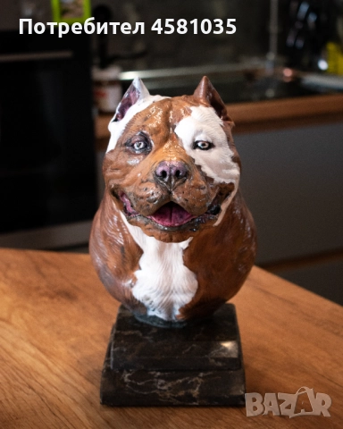 Фигура на Американски питбул