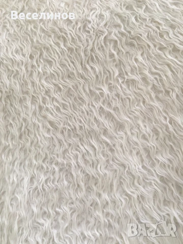 Употребяван вълнен китеник/губер