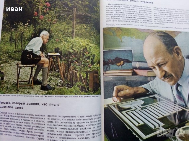 Поведение животных - Н.Тинберген, снимка 5 - Енциклопедии, справочници - 30433762