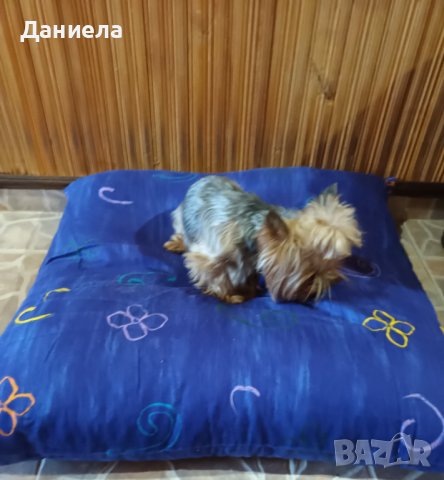 Пуф възглавница за куче, снимка 5 - За кучета - 38184963