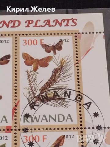 ПОЩЕНСКИ МАРКИ серия ПЕПЕРУДИ,ГЪСЕНИЦИ НАСЕКОМИ поща РУАНДА за КОЛЕКЦИЯ 36847, снимка 4 - Филателия - 39915216