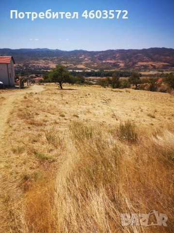 Собственик продава 3 броя парцели, снимка 6 - Парцели - 51817495