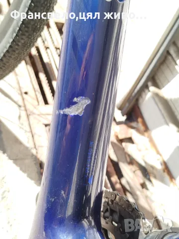 28 цола Карбон велосипед колело размер 52 хоризонтално 60 ,2 по 11 скорости не е пукнато specialized, снимка 9 - Велосипеди - 50091069
