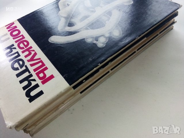 Молекулы и клетки - Сборник - 1966г. , снимка 9 - Специализирана литература - 39010775
