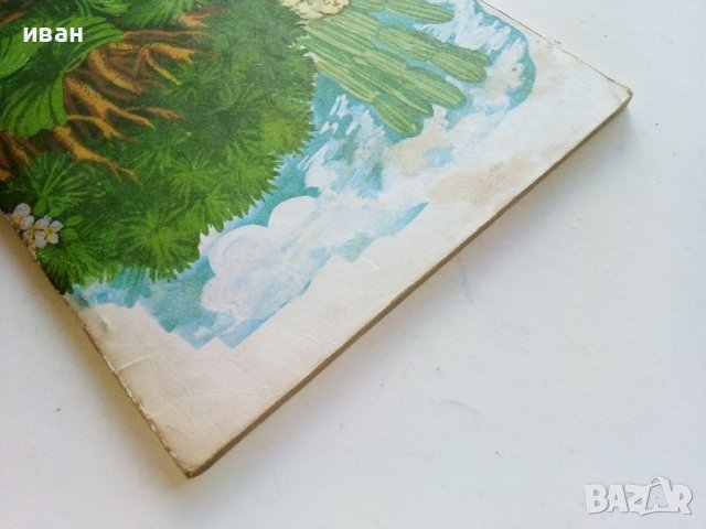 Том Сойер детектив - Марк Твен - 1981г., снимка 8 - Детски книжки - 40012889