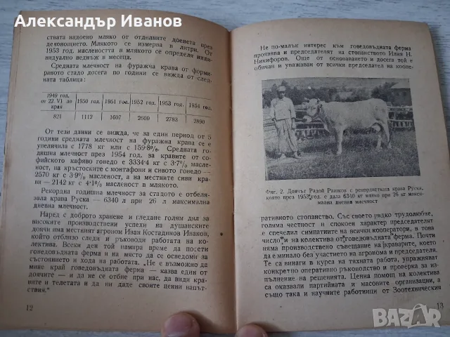 Стара книга,брошура "Говедовъдна ферма в с. душанци" 1955 г., снимка 4 - История, политика и общество - 55866651