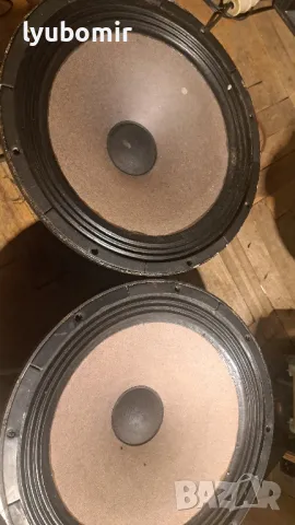 Бг алнико баси