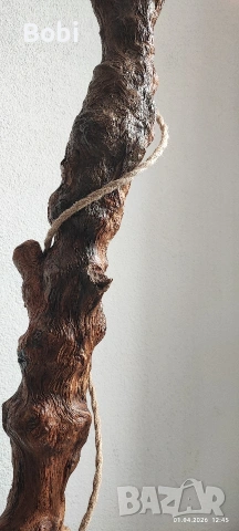 Горски лампион , снимка 4 - Лампиони - 53536597