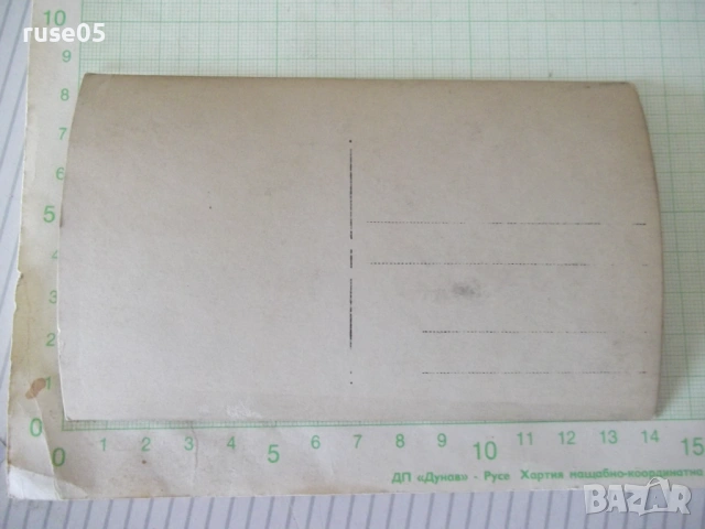 Снимка на група мъже на излет седнали под дървото стара, снимка 2 - Колекции - 54239765