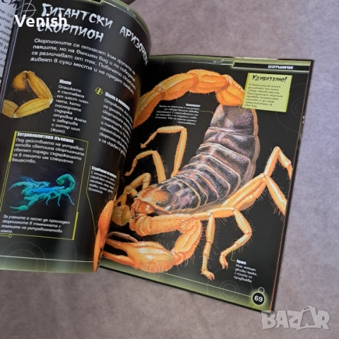 Животните на Европа и Нощните животни, снимка 2 - Детски книжки - 52483867