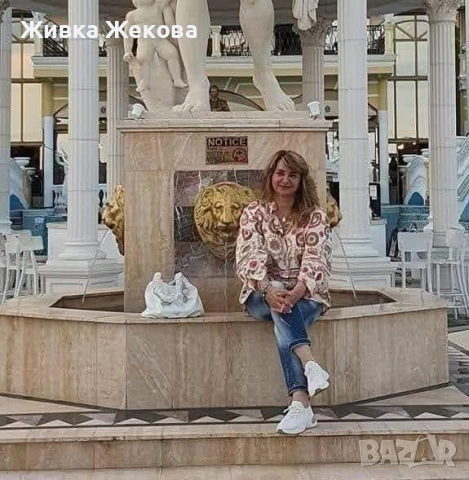 уроци по български език, литература и английски език на ученици до 12 клас. 