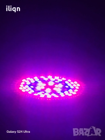 LED лампа за отглеждане на растения 50W. AC85-265V/50-60Hz. Пълен спектър, размери 80.5мм, , снимка 7 - Лед осветление - 51584724