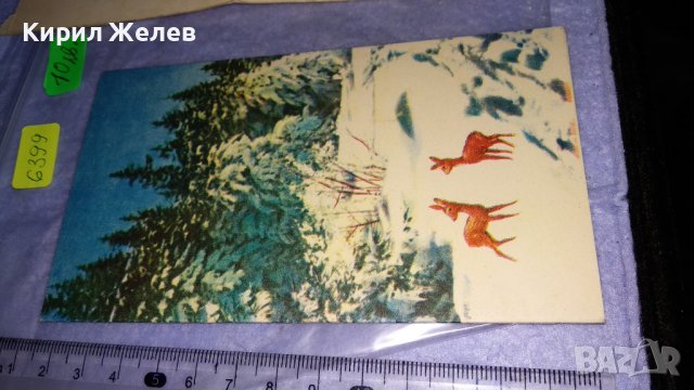 ДВЕ СТАРИ РЕДКИ БЪЛГАРСКИ КОЛЕКЦИОНЕРСКИ ПОЩЕНСКИ КАРТИЧКИ 6399, снимка 3 - Филателия - 38572293