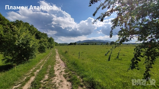 ЕЛЕНА общ. Велико Търново 8 000 кв.м. Равен парцел с лице на 3 пътя , снимка 3 - Земеделска земя - 52881114