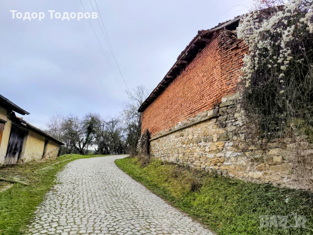 Парцел в с. Дивля, област Перник, снимка 15 - Парцели - 54305864