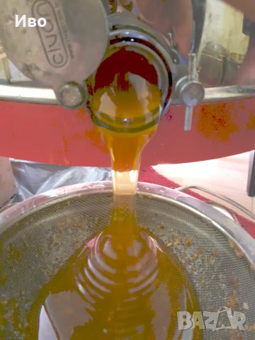 Пчелен мед, снимка 5 - Пчелни продукти - 34785254