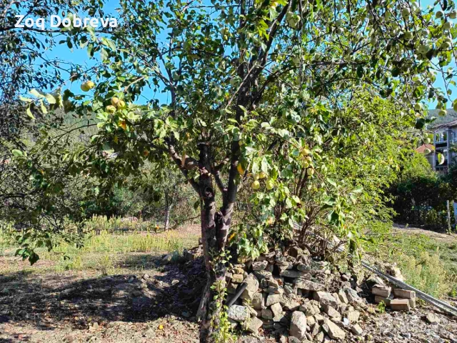 Парцел с ПУП в с.Присово, снимка 2 - Парцели - 51709715