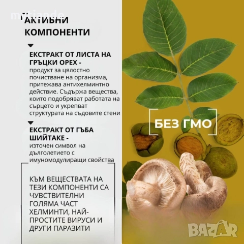 БАД с гръцки орех и шийтаке, снимка 3 - Хранителни добавки - 41553765