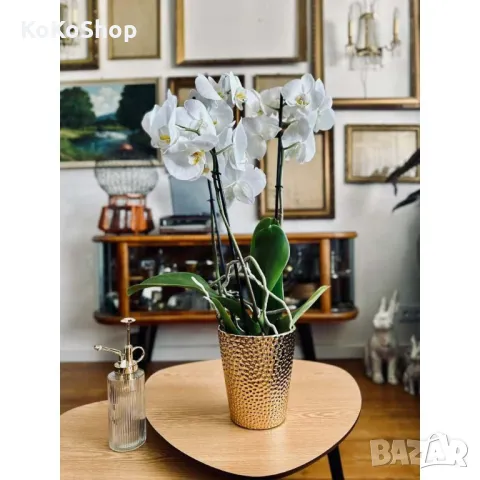 Кашпа за орхидеи-13х13х15 см./златиста кашпа/саксия, снимка 2 - Саксии и кашпи - 49872431