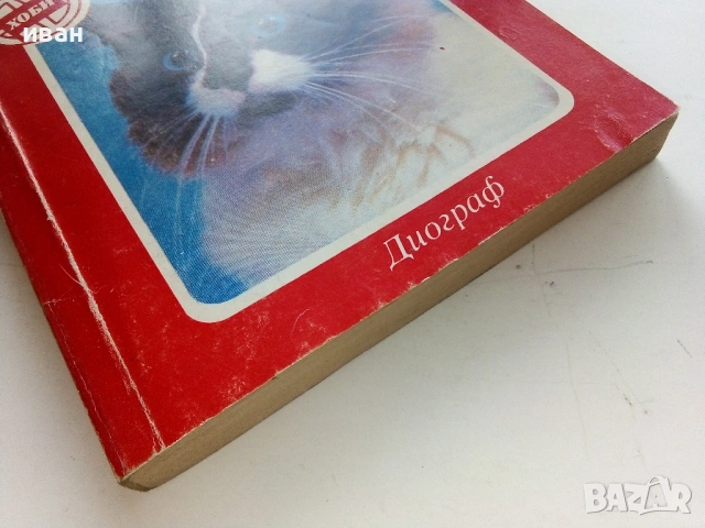 Знаете ли всичко за котката - Веселин Денков - 1992г., снимка 6 - Енциклопедии, справочници - 53354766