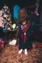 Harry Potter Шапка,Сова,снич и метли Nimbus 3000, снимка 11