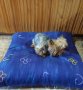 Пуф възглавница за куче, снимка 5