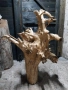 Декорация -корен от дъб, снимка 1
