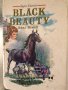 Black Beauty Anna Sewell-Holland Enterprises, снимка 1 - Други - 34368951