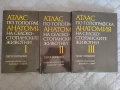 Атлас по топографска анатомия на селскостопанските животни Том 1, 2 и 3, снимка 1
