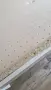 Детски матрак 160 x 65 см от пенополиуретан, снимка 6