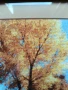 гоблен ,, Слънчева есен",  22/17 см, снимка 5