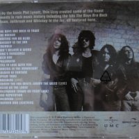 Thin Lizzy – Waiting For An Alibi - The Collection (2011, CD) , снимка 2 - CD дискове - 40845953