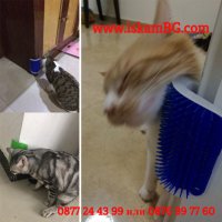 Четка за котки за монтиране на стена/ъгъл с котешка трева - КОД 3831, снимка 14 - За котки - 39525170