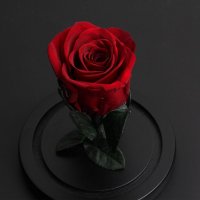 Вечна истинска роза в стъкленица, снимка 7 - Романтични подаръци - 31557958